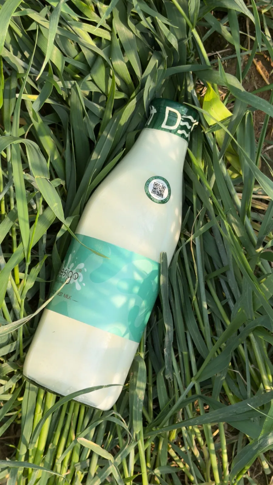 A DESIGO® glass bottle resting in tall green grass
